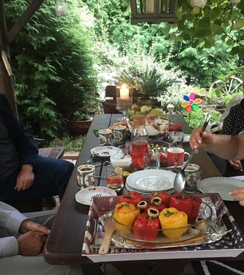Cracow. Villa Cherubin Garden كراكوفيا المظهر الخارجي الصورة